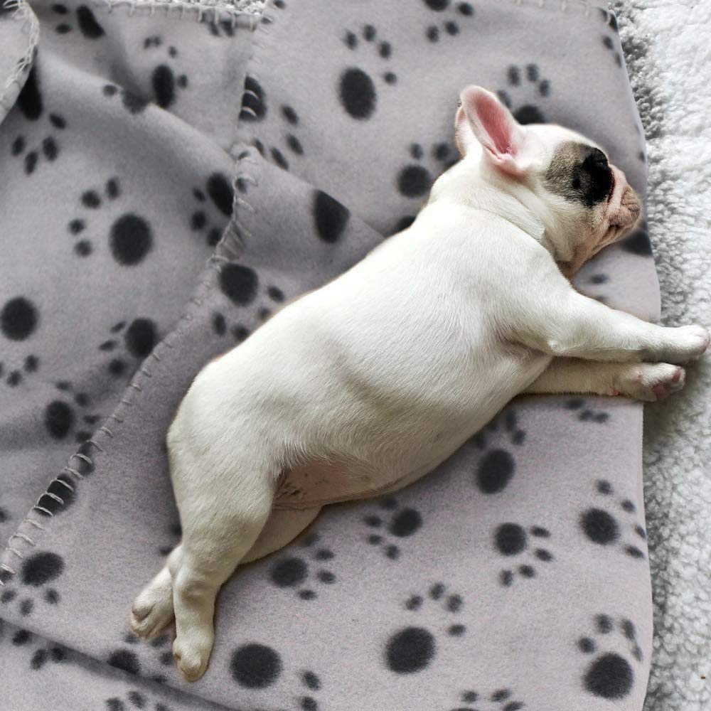 12 Pieces 39 x 28 Inch Pet Blankets with Paw Print Dog Cat Soft Fleece Blanket Sleep Mat Pad Bed Cover for Kitten Puppy and Other Small Animals (4 Colors)