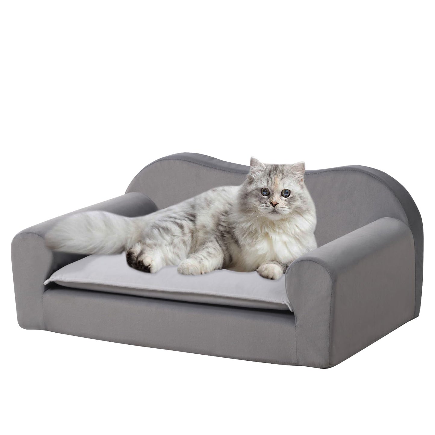 Cat Couch Bed for Indoor,Comfort Small Dog Sofa,Pet Couch for Puppy and Kitten,with Removable Washable Cover and Non-Slip Bottom (Light Grey)