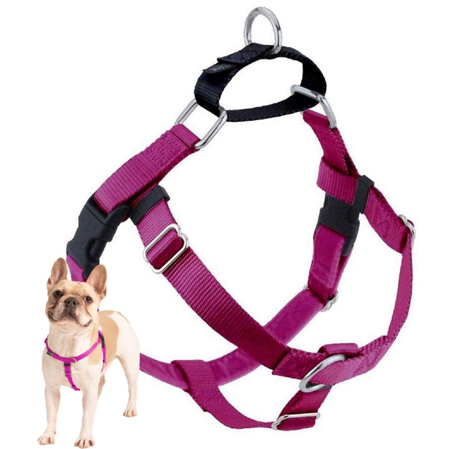 2 Hounds Design Freedom No Pull Dog Harness | Adjustable Gentle Comfortable Control for Easy Dog Walking | for Small Medium and Large Dogs | Made in USA | Leash Not Included | 1" MD Raspberry