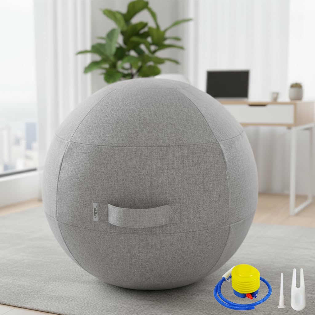 Exercise Ball Chair with Fabric Cover, Standard Size (25inches/65cm), for Home Offices, Balance Training, Yoga Ball (Gray)