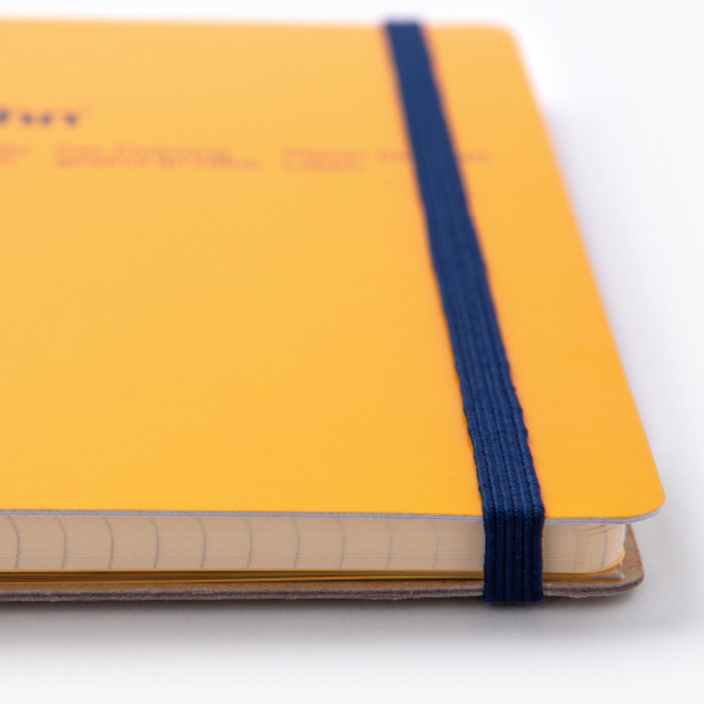 Delfonics Rollbahn Spiral Notebooks: 6-1/2 in x 8.5 in. (Cream)