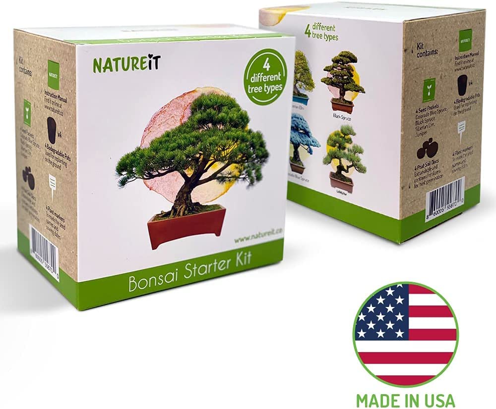Bonsai Tree Seed Starter Kit - All You Need to Grow 4 Bonsai Trees from Seeds. All-in-One Indoor/Outdoor DIY Beginner Grow kit for Men & Women. Best Gift Idea for Mom and Dad (Starter Kit)