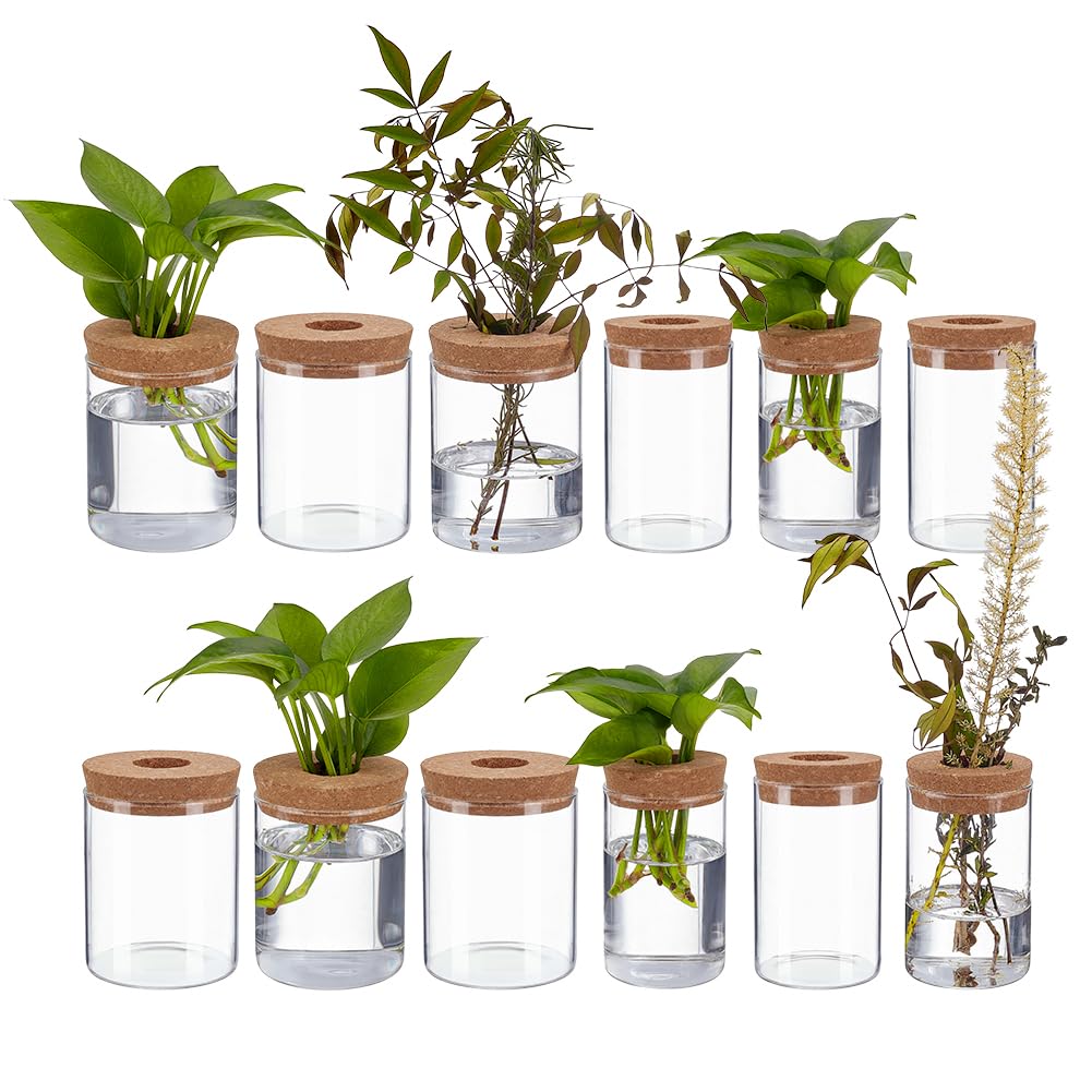 ORIGACH 12 PCS Plant Propagation Jars with Hole Lid, Two Sizes Glass Propagation Plant Vases Set for Living Room, Bedroom, Home,Office Decor, 3.3 Inch/2.6 Inch Diameter