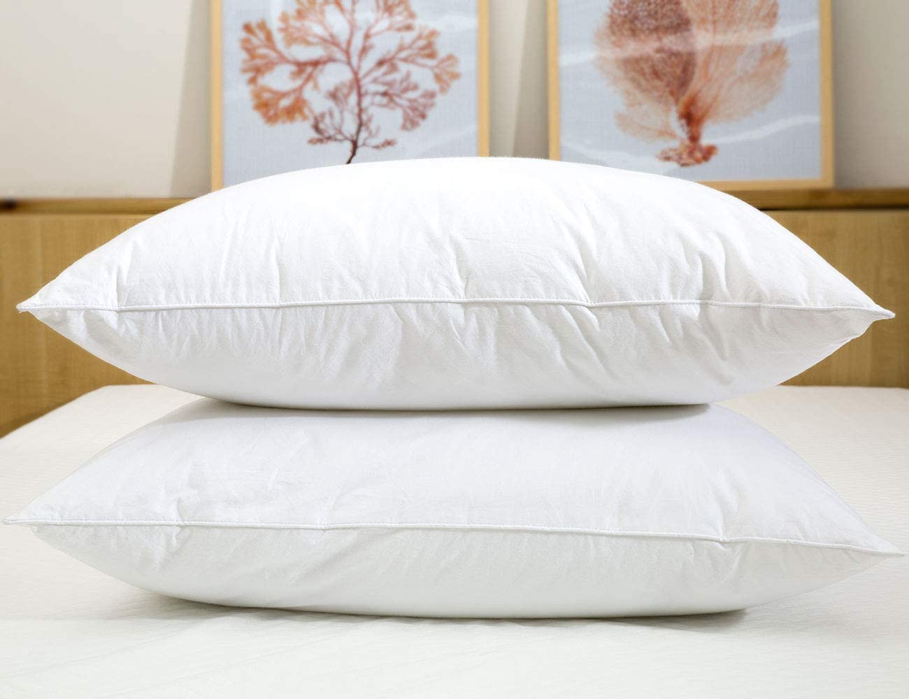 JA COMFORTS Duck Feather and Down Bed Pillows for Sleeping(2 Pack)- Standard/Queen(20IN×28IN), Filling Weight 37 OZ, Hotel Collection, 233TC Cotton Cover, White…