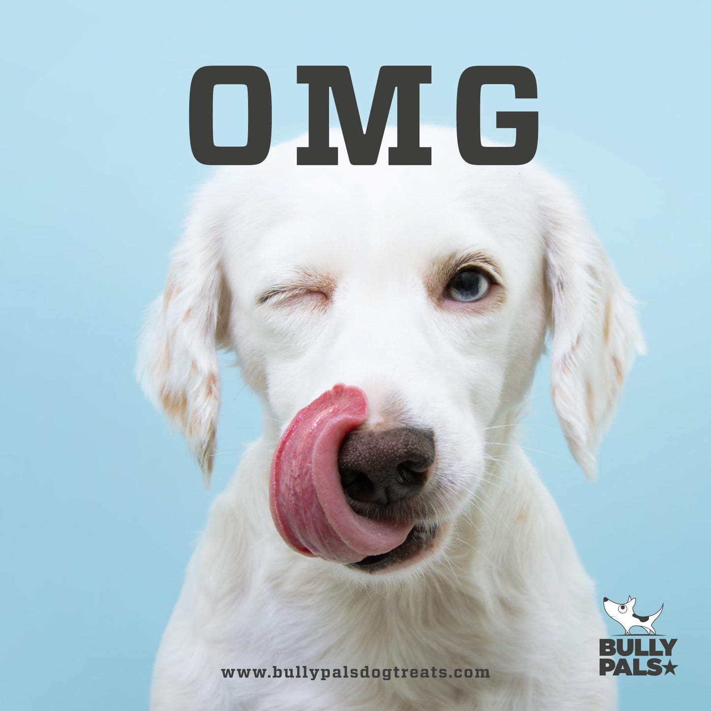 BULLY PALS - 12 inch Beef Collagen Sticks - Dog Dental Chew - 8 Pack - Odour Free, Rawhide Free, Long Lasting Alternative to Bully Sticks, All Natural, Protein Rich