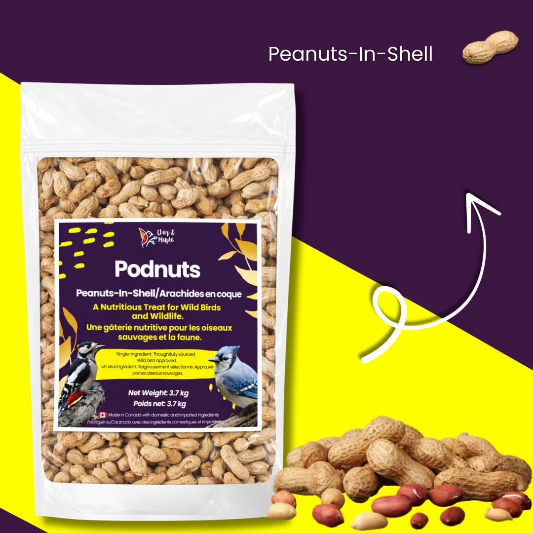 Chirp & Maple, Podnuts - Unsalted Peanuts in Shell for Wild Birds and Wildlife, Raw Unroasted, Premium Wild Bird Food 3.7KG Bag
