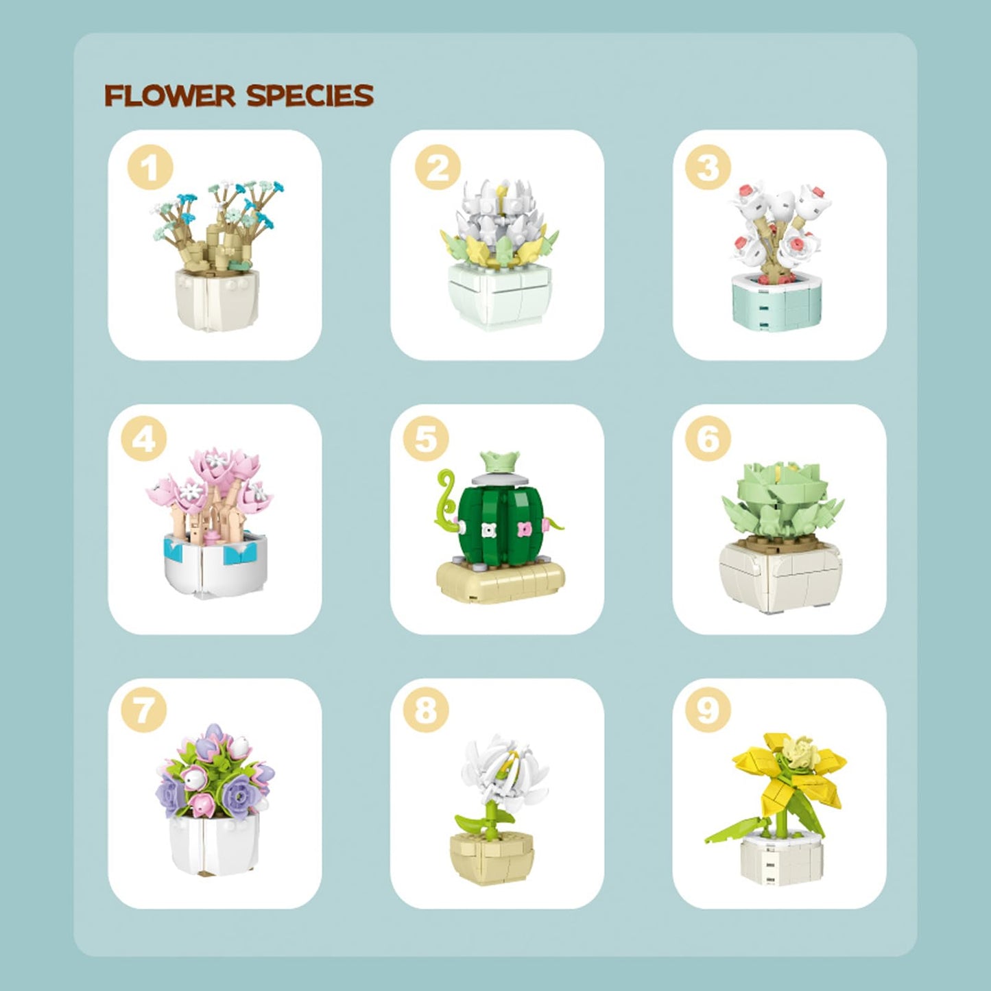 XMORK Succulent Plant Building Blocks Set, 9 Tiny Plants Kit with Display Frame for Botanical Collection and Decor, Succulents Bonsai Toy for Teens and Adults, 854 PCS