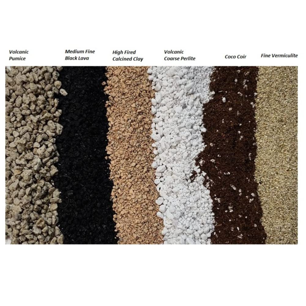 M.M BASICS Succulent Soil Mix/Cactus Soil, Mixed with Volcanic Pumice, Coarse Perlite, Calcined Clay, Black Lava Rocks, Fine Vermiculite and Coco Coir, Well-Draining and Healthy Roots, (4 litres)