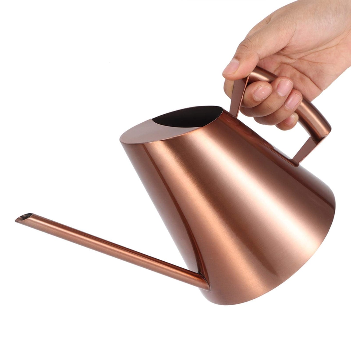 Watering Can Indoor Plants, 50 Oz/1500 Ml Decorative Long Spout Watering Cans for Indoor Plants Stainless Steel Watering Pot for Succulent Bonsai Garden Flower