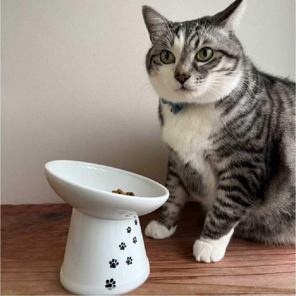 Necoichi Extra Wide Raised Cat Food Bowl (Cat, Extra Wide Tilted)