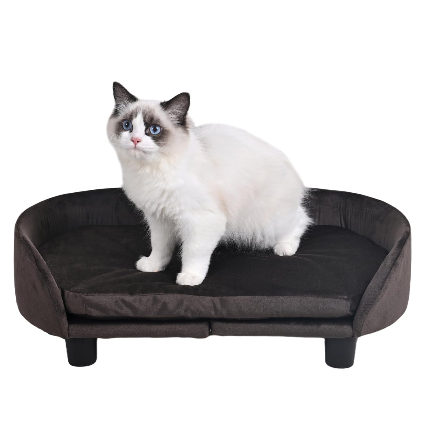 Small Dog Bed, Comfy Cat Bed, Velvet Pet Couch with Removeable Washable Cushion for Puppy & Cats (Brown)