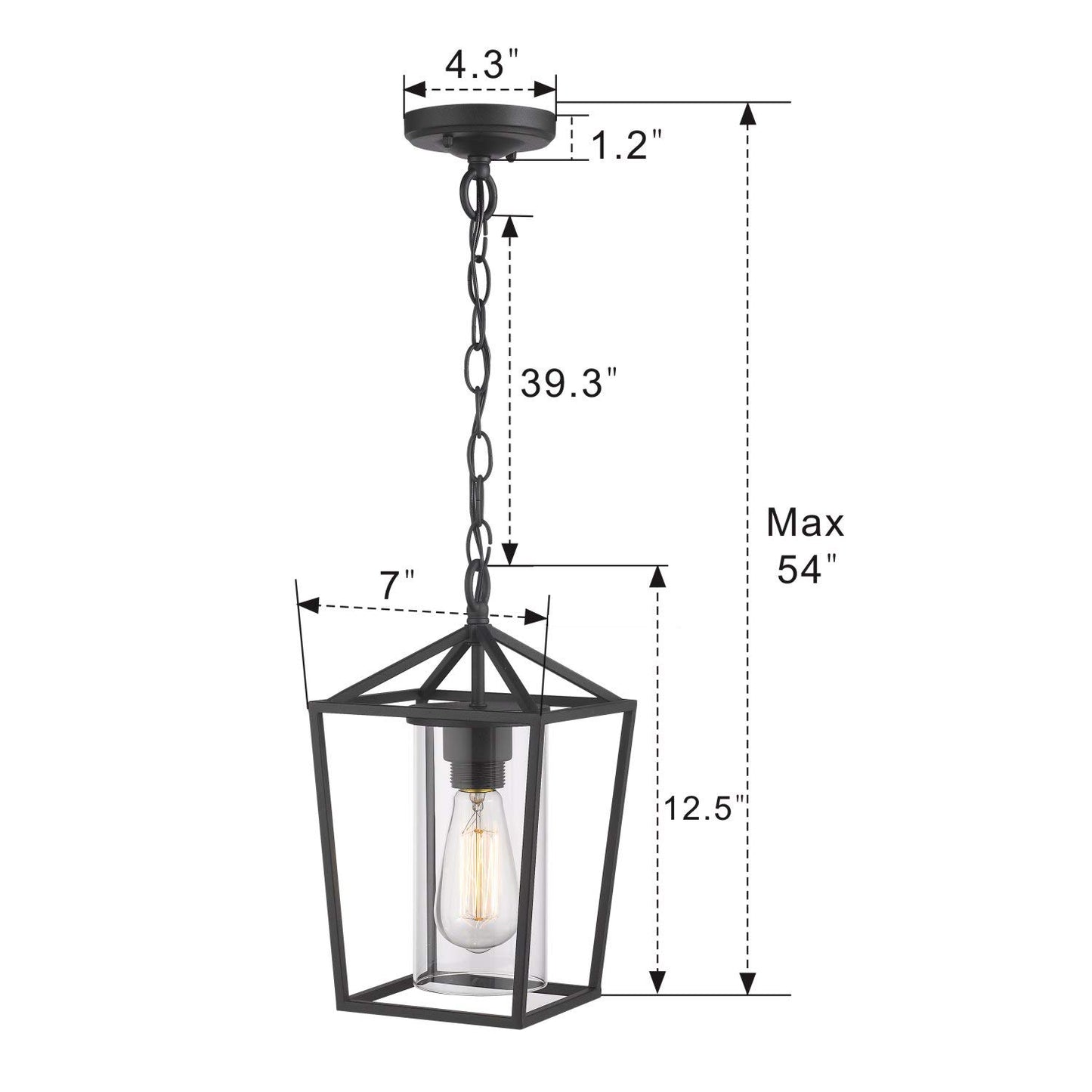 Emliviar Modern Outdoor Pendant Light, 1-Light Outdoor Hanging Lantern Light in Black Finish with Clear Glass, 20065H BK