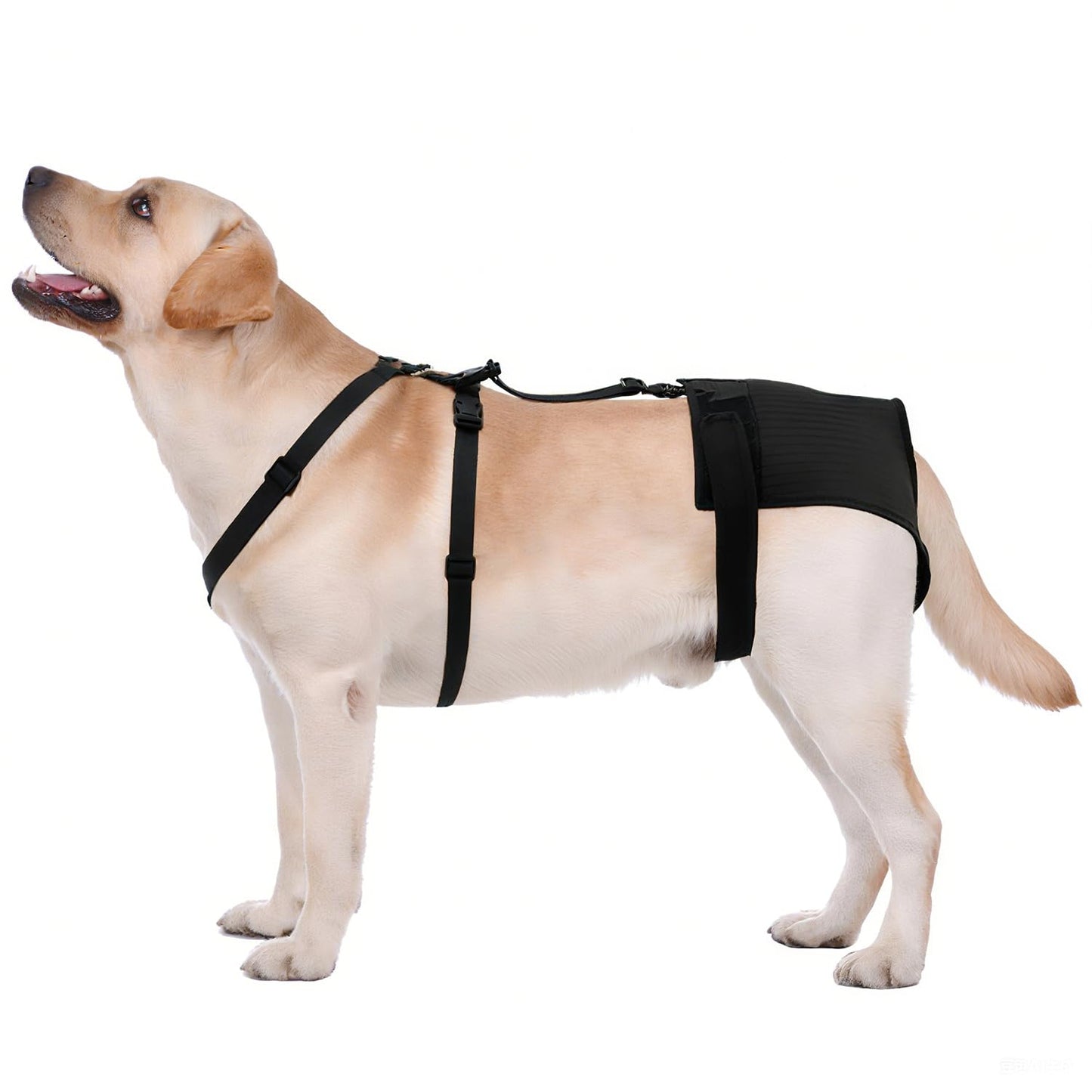 yrenoer Female Dog Heat Pants with Harness Design - Anti-Slip, Anti-Mating, Reusable & Washable Underwear for All-Day Protection (Black, XL)
