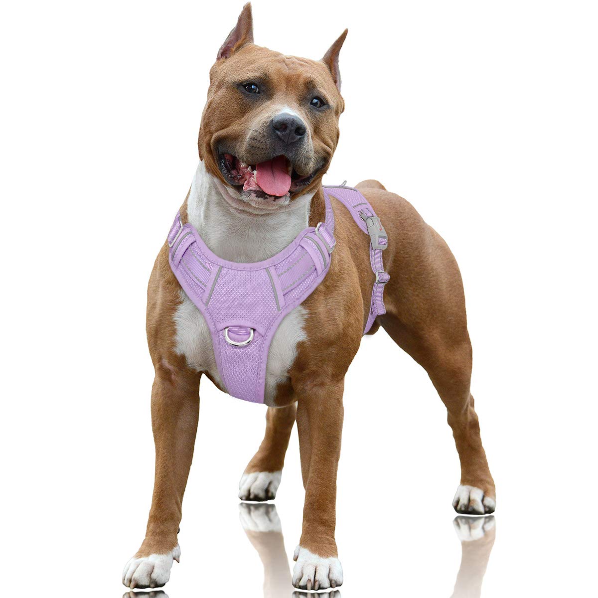 BARKBAY No Pull Dog Harness Large Reflective Dog Harness with Front Clip and Easy Control Handle for Walking Training Running with ID tag Pocket(Violet Purple,L)