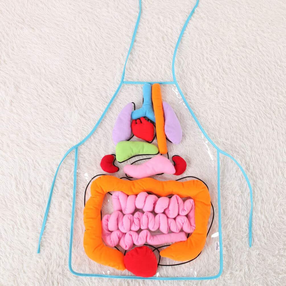 ULTECHNOVO Human Organs Apron Educational Teaching Apron for Children Early Learning Body Organ Model 23.62X17.32In Anatomy for Kindergarten Classroom Activities