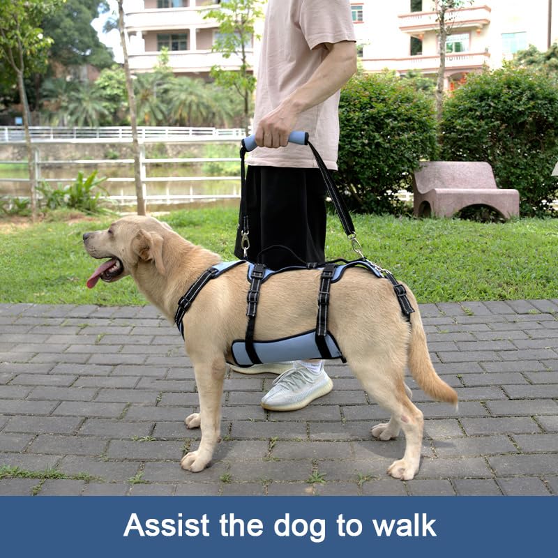 Coodeo Dog Lift Harness, Support & Recovery Sling, Pet Rehabilitation Lifts Vest Adjustable Breathable Straps for Old, Disabled, Joint Injuries, Arthritis, Paralysis Dogs Walk (Large)
