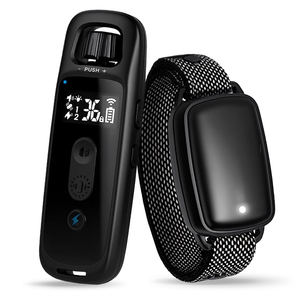 Dog Training Collar
