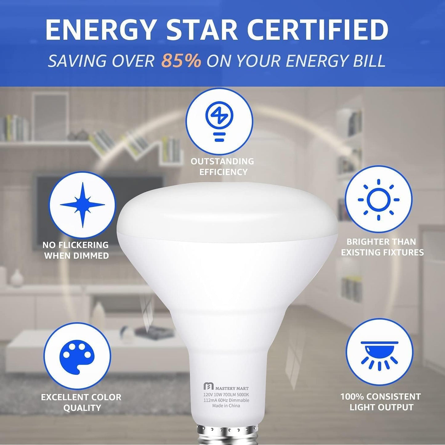 Mastery Mart BR30 LED Bulb, 10W Dimmable, 65 Watt Equivalent 700 Lumen, Wide Flood Light, E26 Base, Recessed Light Bulb for Can Ceiling, UL and Energy Star, Pack of 10