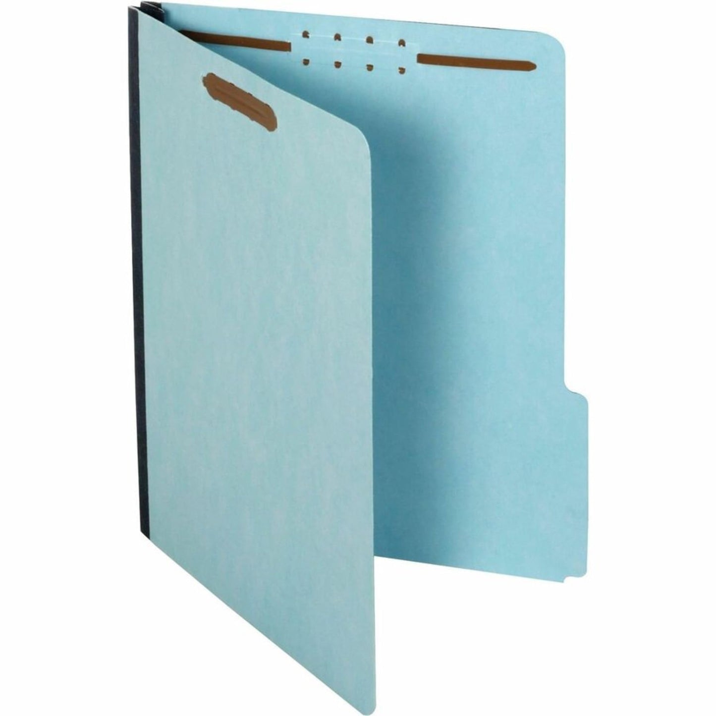 Globe-Weis Pressboard File Folder with 2 Fasteners, 1 Inch Expansion, 1/3 Tabs, Letter Size, 25-Pack, Blue, (615F21-3BLU)