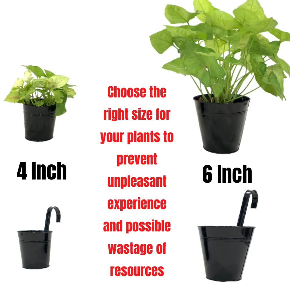 LaLaGreen Railing Planter - 10 Pack, 6 Inch Hanging Flower Pot Black, Outdoor Large Metal Iron Fence Bucket, Balcony Garden Wall Deck Porch Patio Rail Decor Hanger Hook Farmhouse Macetas para Balcon