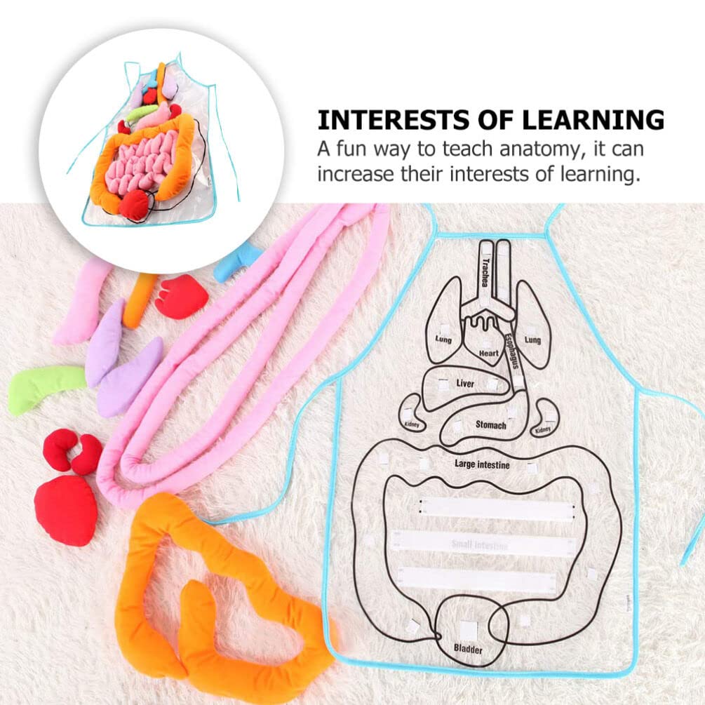 ULTECHNOVO Human Organs Apron Educational Teaching Apron for Children Early Learning Body Organ Model 23.62X17.32In Anatomy for Kindergarten Classroom Activities