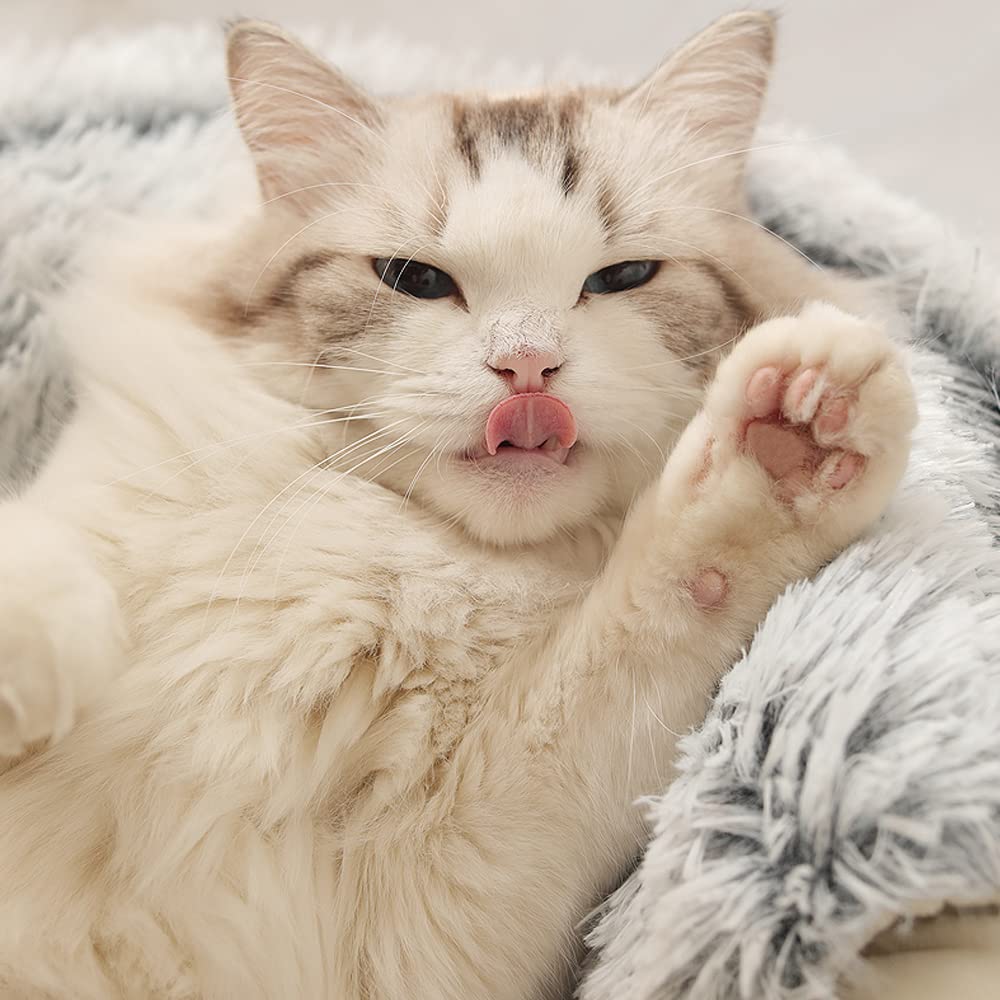 Cat Bed Round Fluffy Hooded Cat Bed Cave, Anti-Anxiety Cave Bed with Hooded Blanket, Cozy Cuddler Luxury Puppy Pet Bed, Anti-Slip Bottom and Machine Washable (Grey, Large)