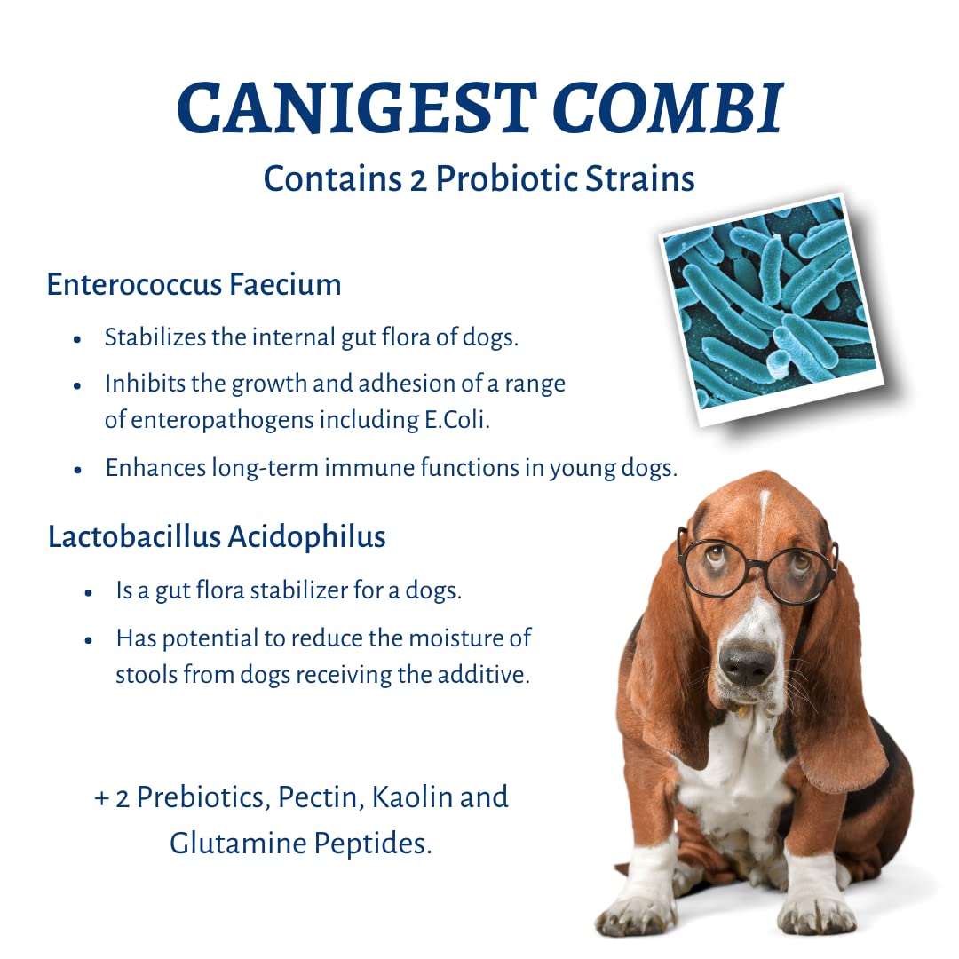 Canigest Combi - Diarrhea Treatment for Dogs | Stop diarrhea in hours | Combination of Pectin + Kaolin + 2 Probiotics + 2 Prebiotics | No Recurrence of Symptoms for Months - 32mL