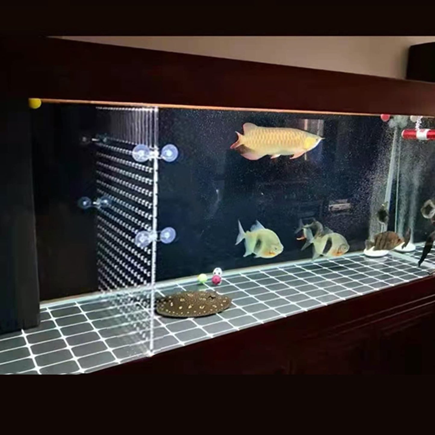 HingoFuni Aquarium Fish Tank Divider Acrylic Isolation Grid Board with Suction Cups Included Clear Fish Separator Transparent Plate Baffle Cover Blocking Fish Partition Net 30x40cm/11.81x15.74in