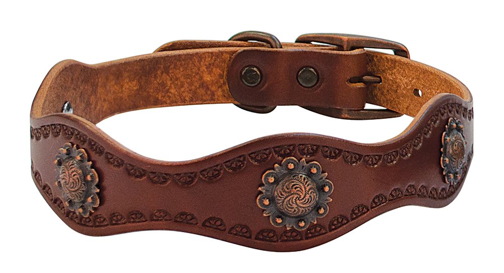 Weaver Leather Sundance Dog Collar, 3/4 x 17-Inch, Brown