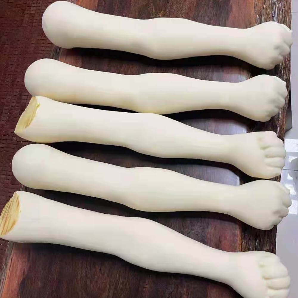 2 MM Professional Silicone Tattoo Practice Arm-Realistic Fake Skin,1:1 Simulation Arm, Store Decoration, for Tattoo Beginners And Artists(WHITE)