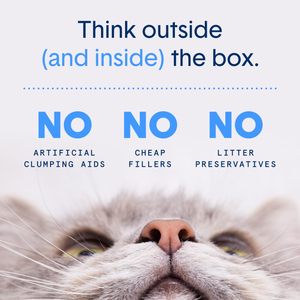 Boxiecat Air Lightweight, Gently Scented, Premium Clumping Litter 11.5lb