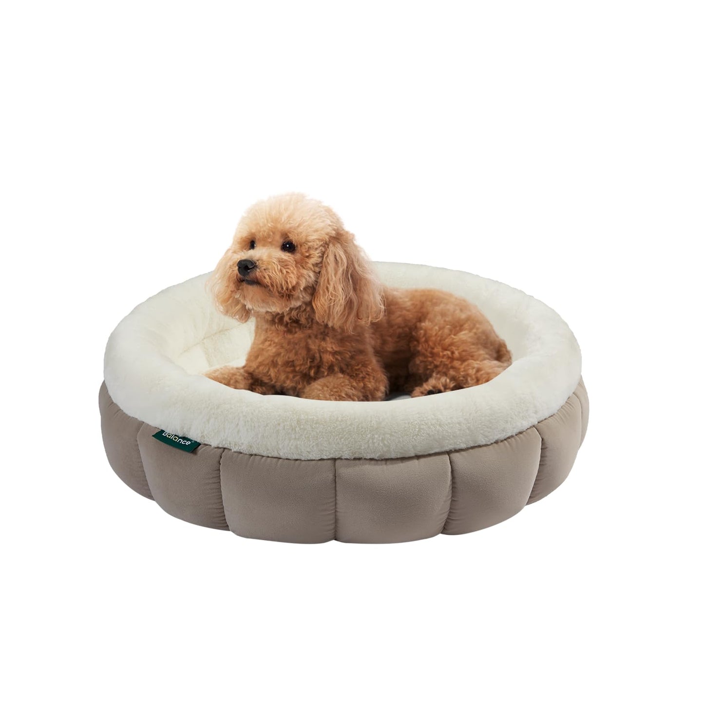 BALANCE Cat Beds for Indoor Cats, Washable Round Cat Bed, Cute Kitten Bed with Anti-Slip Bottom for Kitty and Puppy, 23 Inches, Goat