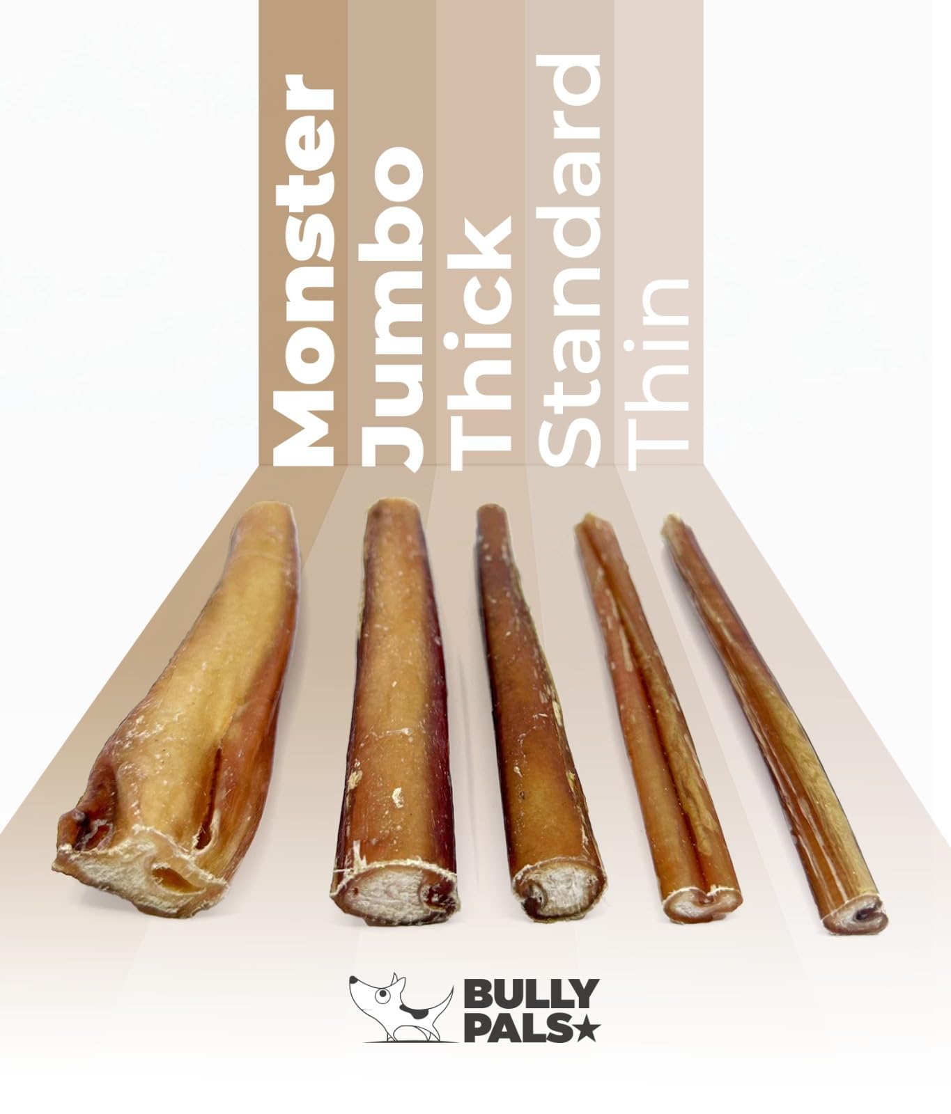 BULLY PALS - 12 inch Bully Sticks Standard - 10 Pack - All Natural, Single Ingredient, Dehydrated, Rawhide and Chemical Free, Fully Digestible Dog Treat and Dental Chew for Small to Medium Dogs