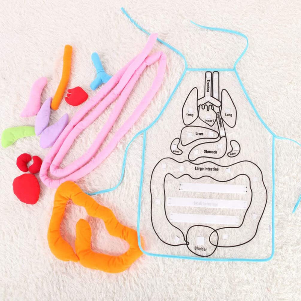 ULTECHNOVO Human Organs Apron Educational Teaching Apron for Children Early Learning Body Organ Model 23.62X17.32In Anatomy for Kindergarten Classroom Activities