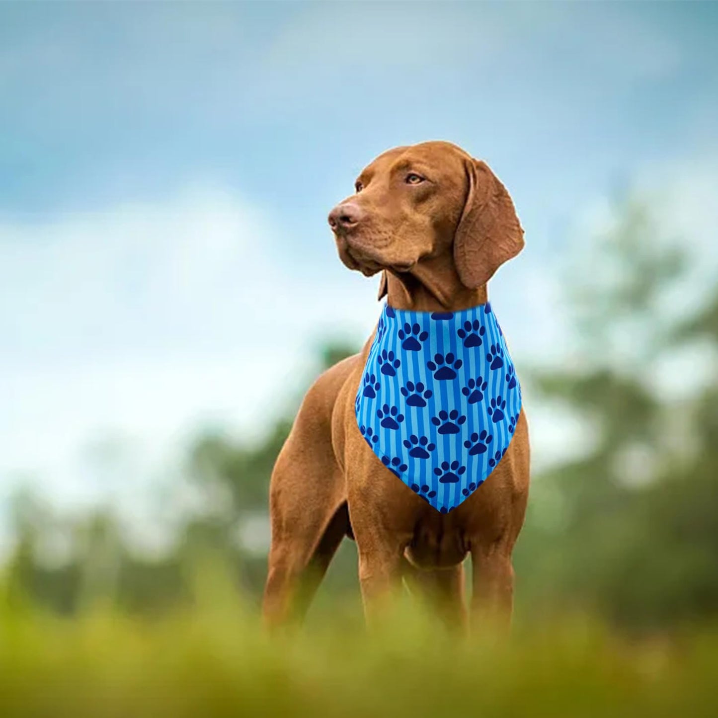Pai Sence 30 Pcs Paw Print Bandanas Bulk for Large Dogs 33 Inch XL Stitch Dog Bandanas Polyester Bandana Party Grooming L