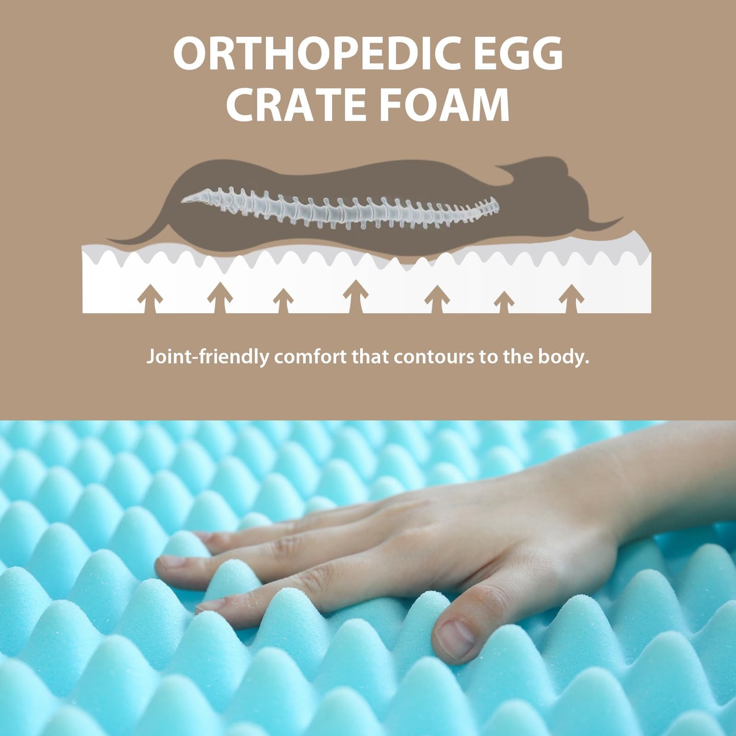 Colvay Dog Bed Large, Lit Pour Chien with Removable Machine Washable Cover, Orthopedic Dog Bed for Crate with Non-Slip Bottom, Comfy Dog Beds | Lit Chien.