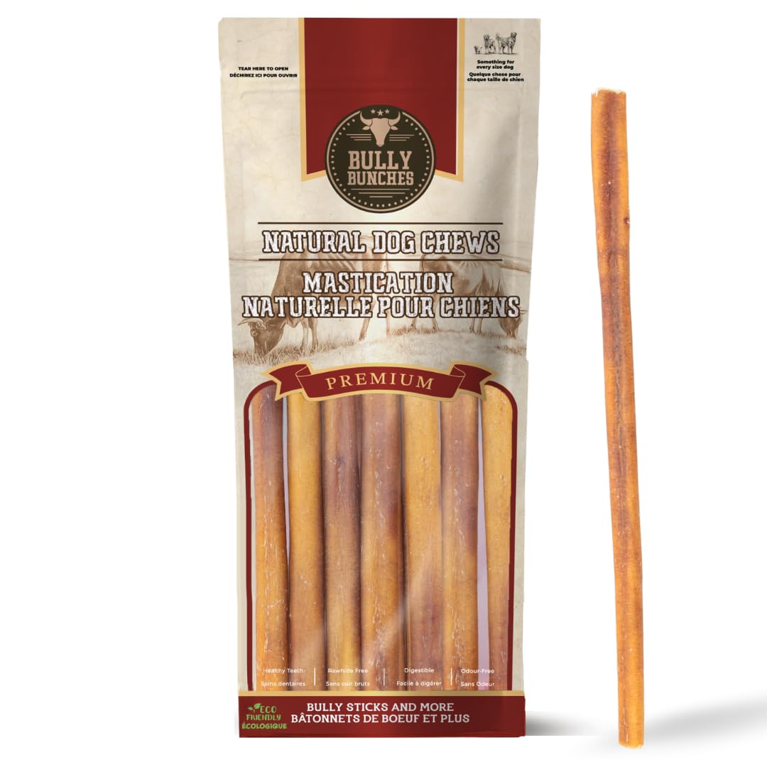 Bully Bunches Premium 12" Standard Odor-Free Bully Sticks for Medium & Large Dogs - Long-Lasting, Natural, Single-Ingredient 100% Beef Chews for Oral Health, Rawhide-Free (10-Pack) Made in CA