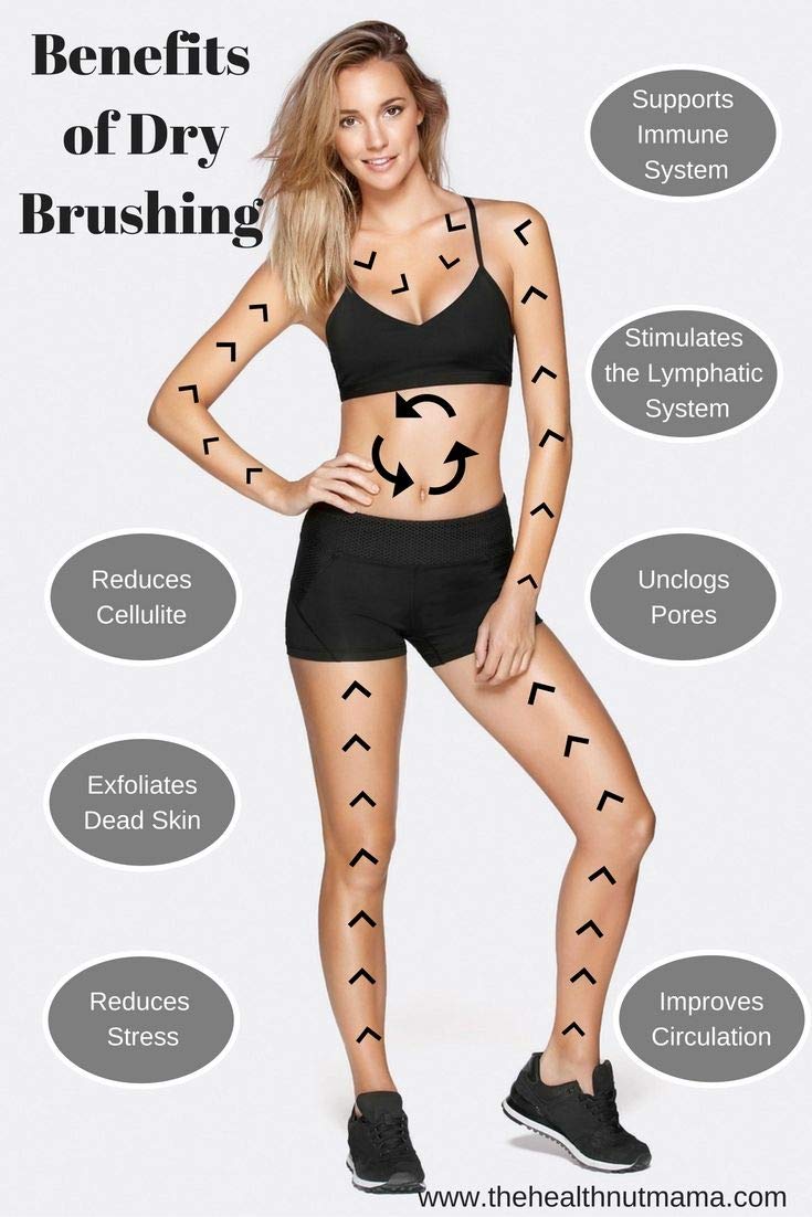 Large Energy/Ionic Body And Massage Brush With Fine Bronze Bristles and Leather Strip Made in Germany, Creates Oxygen On Your skin - Dry Brushing - Body Brush - Exfoliating Brush - Natural Bristle Bath Brush for Removal of Dead Skin, Cellulite Treatment,