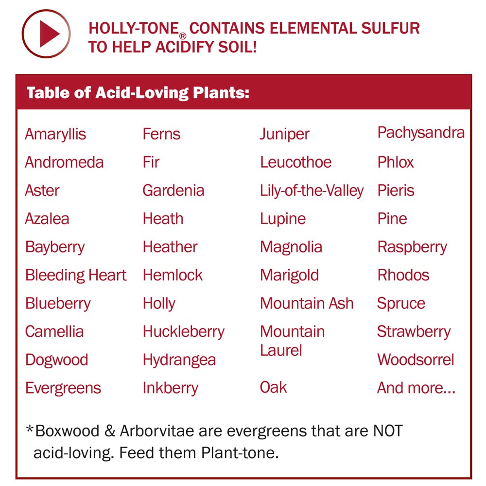 Espoma HT4 4 Lbs Holly-Tone® Plant Food 4-3-4