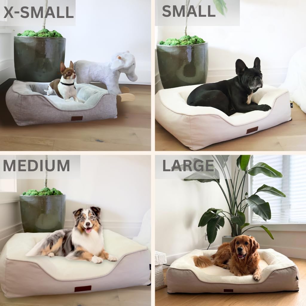 JACKO & CO - Premium Orthopedic Dog Bed with Egg Crate Memory Foam – Waterproof Lining & Removable Machine Washable Cover – Soft Velvet Fabric & High-Density Foam with Non-Slip Base (Beige, X-Small)