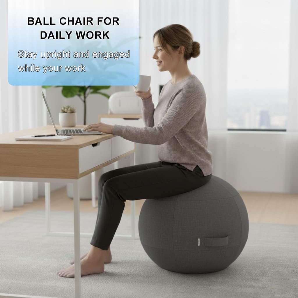 Exercise Ball Chair with Fabric Cover, Standard Size (25inches/65cm), for Home Offices, Balance Training, Yoga Ball (Black)