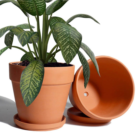 8 Inch Clay Pot for Plant with Saucer - 2 Pack Large Terra Cotta Plant Pot with Drainage Hole, Clay Planters Pot, Terracotta Pot for Indoor Outdoor Plant