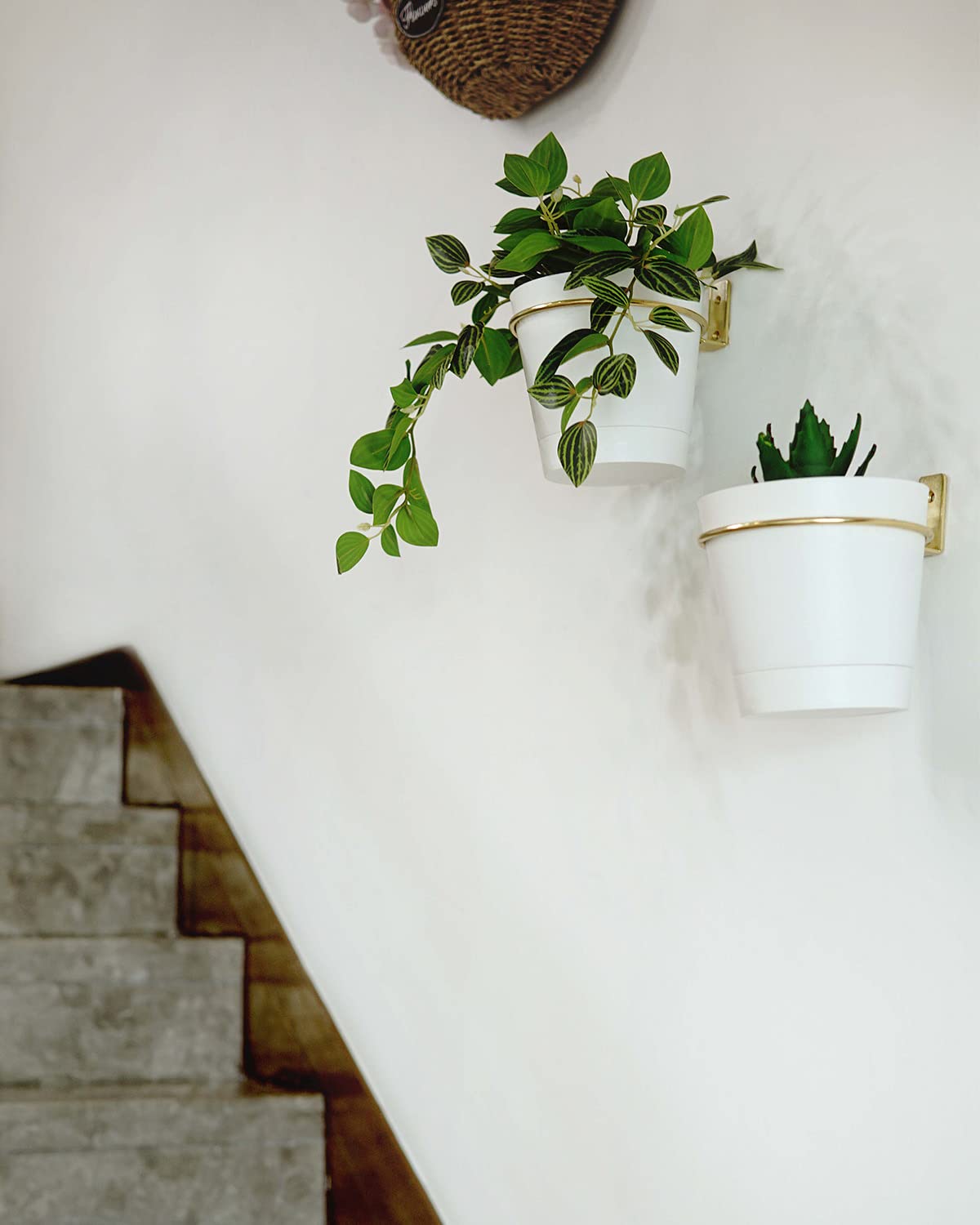 Bouqlife Wall Planters for Indoor Plants 3 Pack 6 Inch Flower Pot Holders Metal Ring with Self Watering Pots Wall Hanging Planters Gold-White