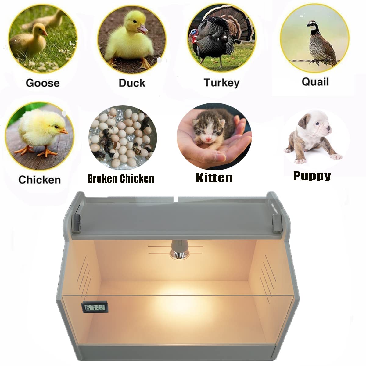 Intelligent Brooder Box 10-15 Newborns Chicks Quail Birds Small Animals Manual Incubators Poultry Heater Breeding Box
