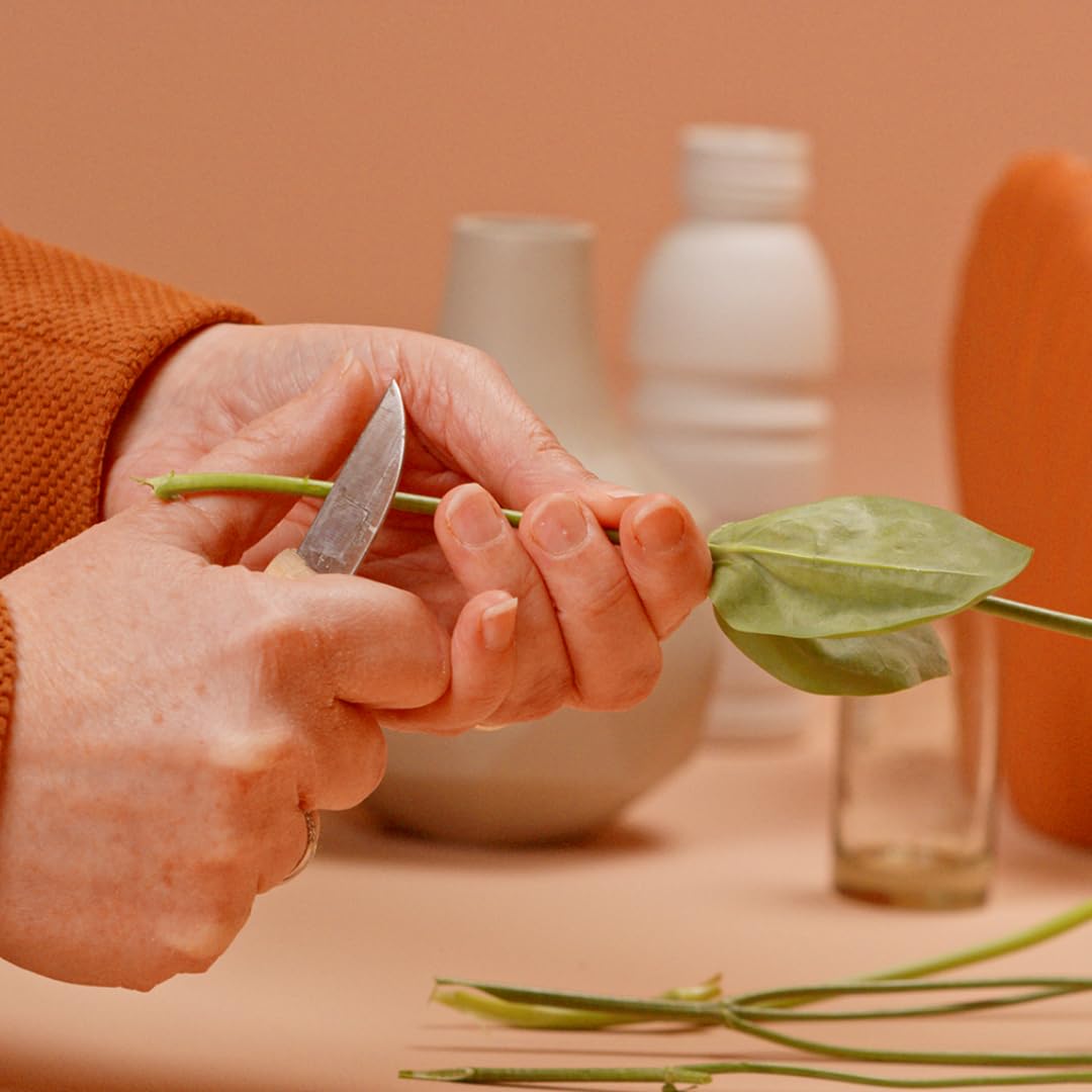 Chrysal 200CT Recyclable Paper Flower Bags /QT Flower Supplies for Fresh Flowers, Increase Pot Life - Flower Arrangement Supplies, Ideal Florist Supplies