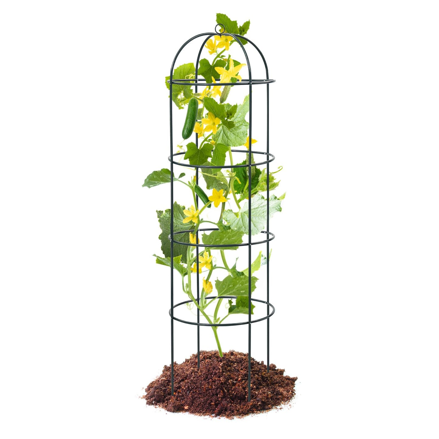 Trellis for Climbing Plants Outdoor, 2Pcs 75" Tall, 21" Dia, Heavy Duty Metal Garden Trellis Tower Potted Cages for Flowers Fruits Vegetable Cucumber Tomato Rose Clematis Pea Bean Raised Bed Trellises