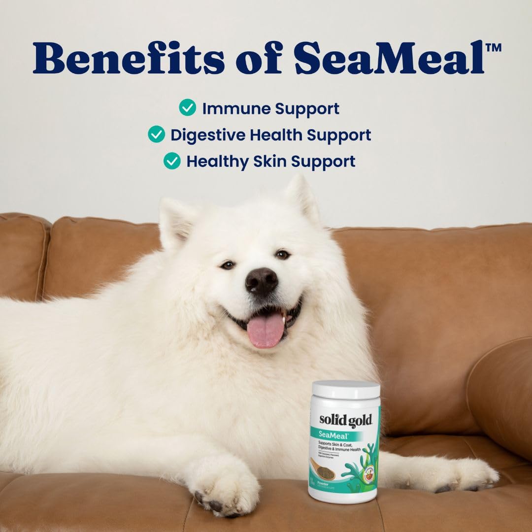 Solid Gold SeaMeal Kelp-Based Powder Supplement for Skin & Coat, Digestive & Immune Health in Dogs & Cats; Natural, Holistic Grain-Free Supplement 1 lb