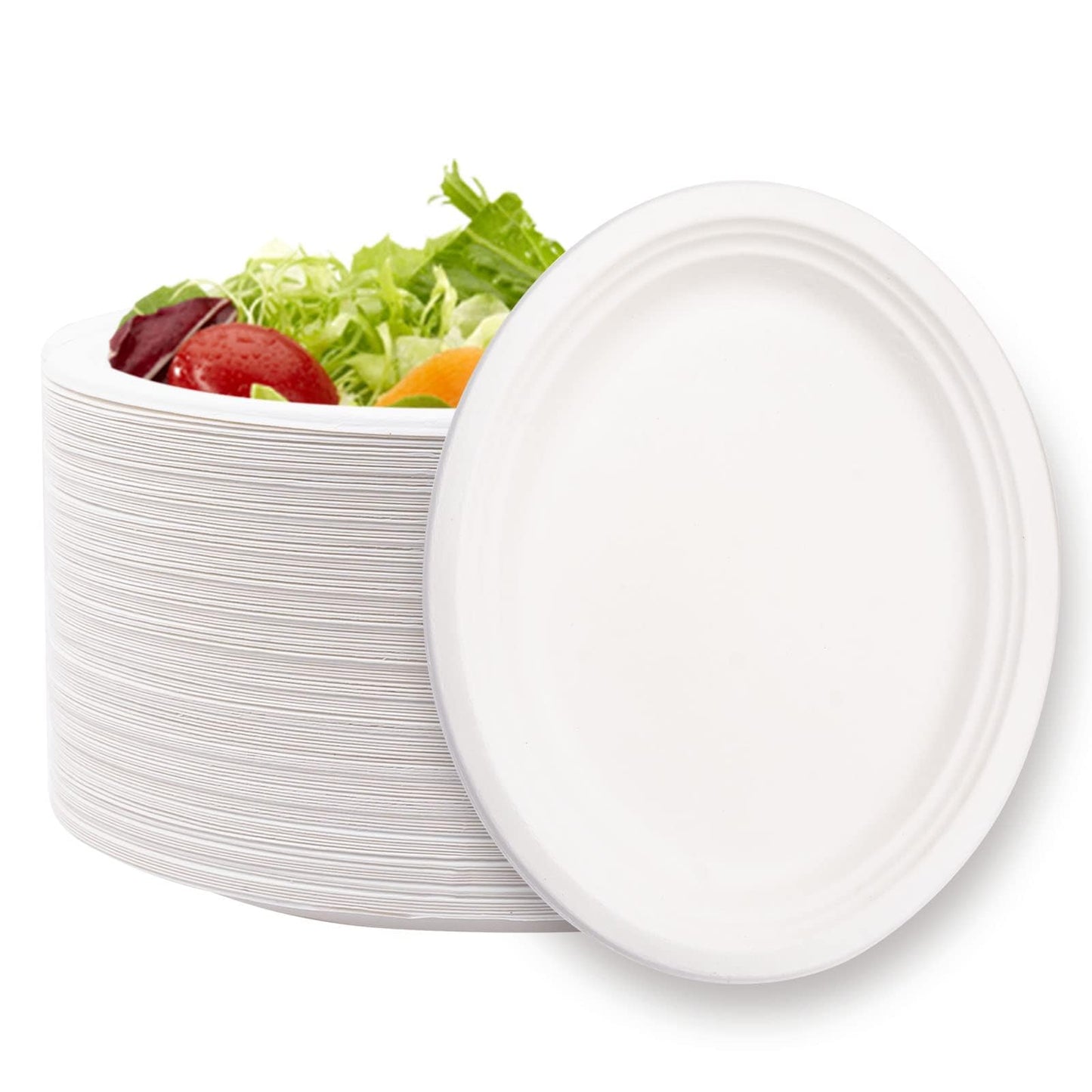 125 Pack 12 inch Disposable Paper Plates 100% Compostable Oval Paper Plates Bagasse Natural Biodegradable Eco-Friendly Sugarcane Plates for BBQ, Party, Gathering, and Picnic