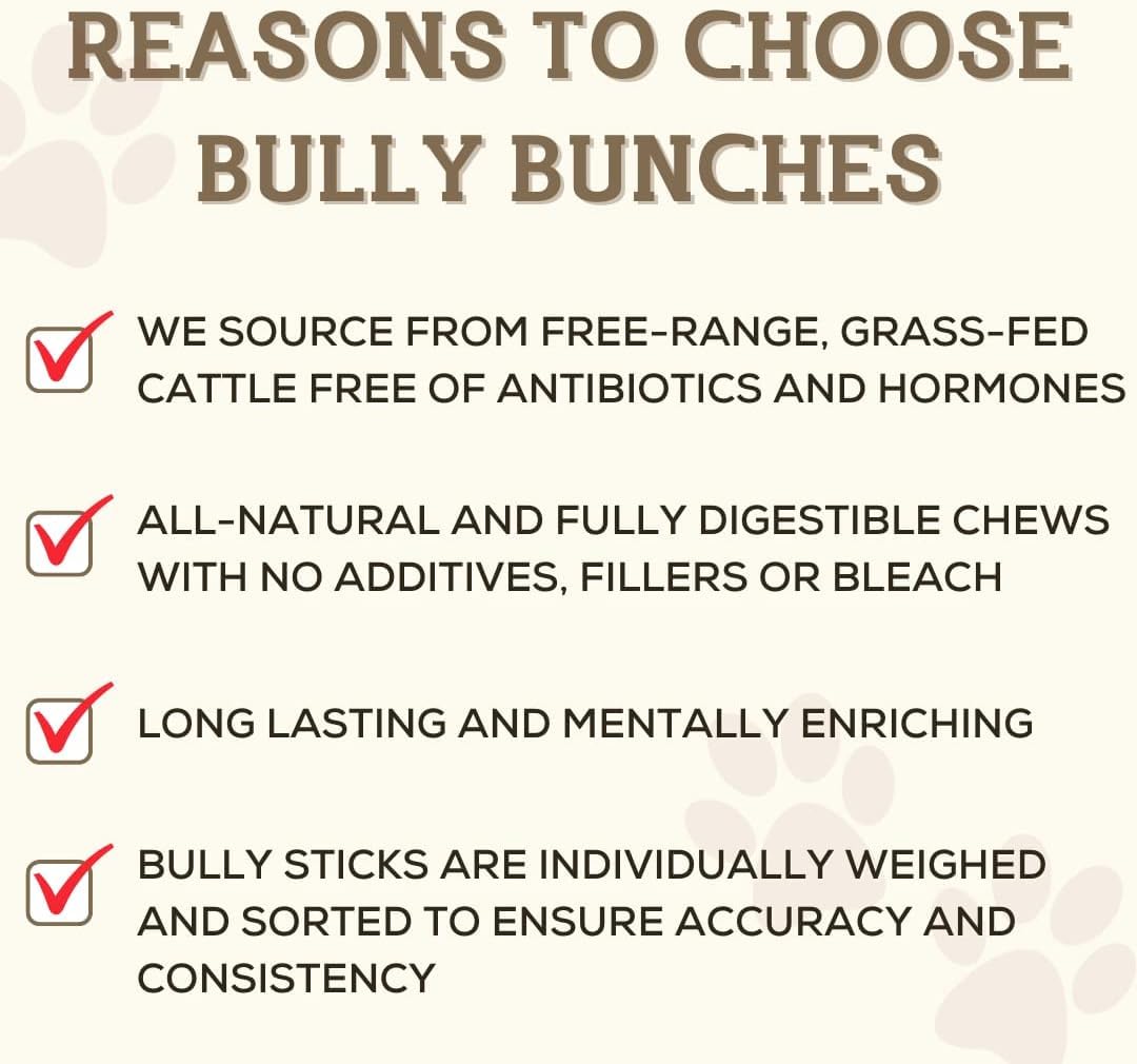 Bully Bunches All Natural 12 Inch Beef Jerky Sticks – Soft and Crunchy Gullet Chews - Odour Free, Rawhide Free, Chemical Free – Safe, Healthy and Nutritious Dog Treats for Light Chewers, 20 Pk