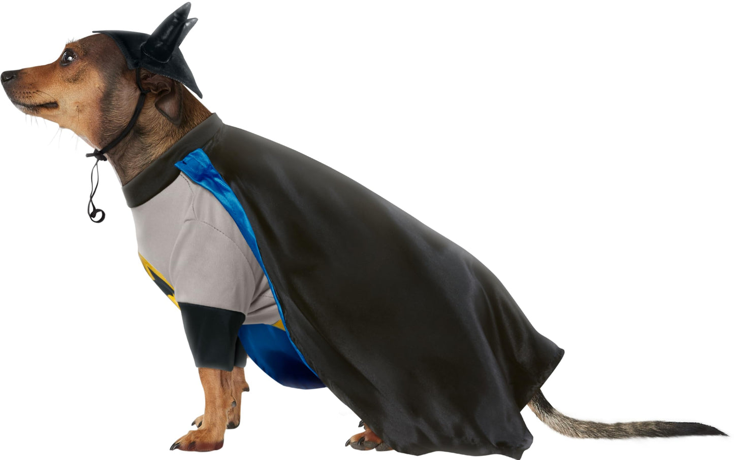 DC Comics Pet Costume, X-Large, Batman